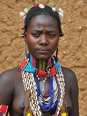 Lost Tribes