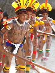 Lost Tribes