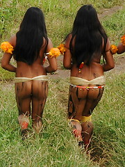 Wild Africa