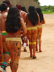 Wild Africa