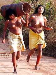 Wild Africa