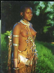Wild Africa